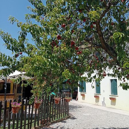 Appartamento Malcontenta Mira Luaran gambar